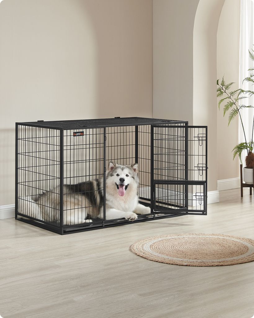 A dog is inside a large black metal dog crate in a room with light-colored walls and a light-colored wooden floor. A round jute rug is on the floor in front of the crate. A plant is visible in the background.