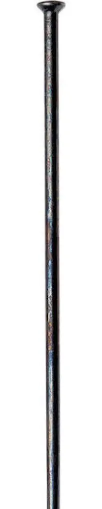 Rayon DT Swiss Competition Straightpull 274 mm Noir anti-casse VE500