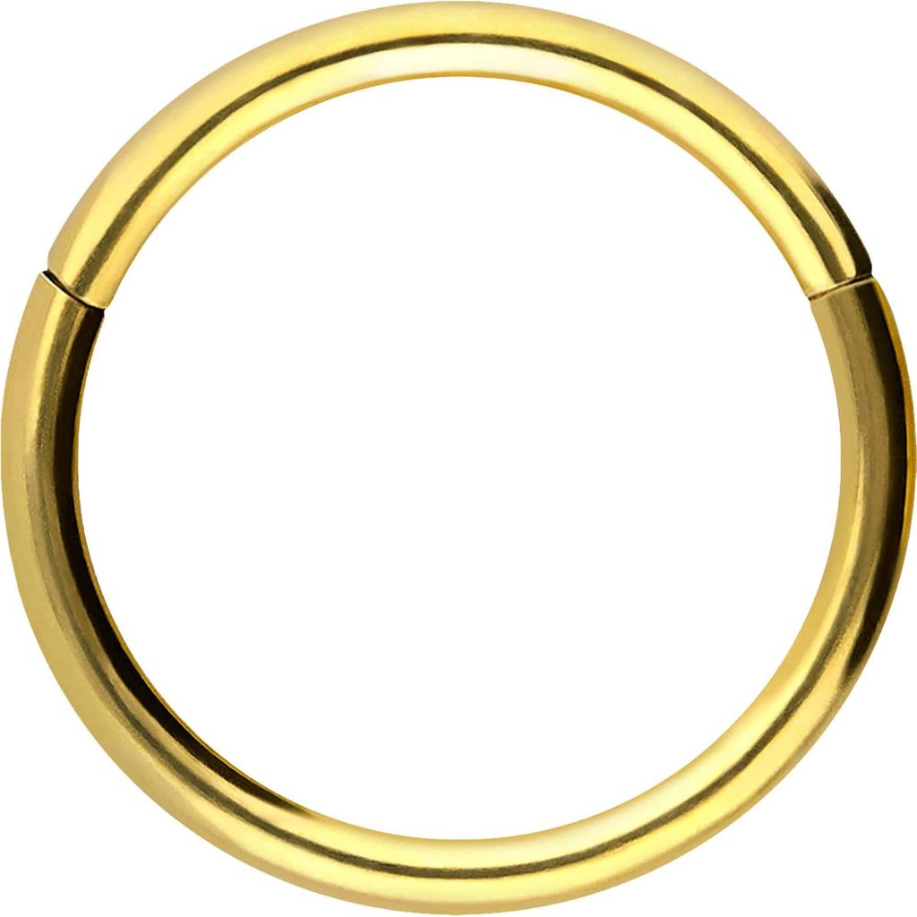 Ohrpiercing, Nasenpiercing, Septum Piercing Chirurgenstahl Segmentring Clicker Gold Innendurchmesser: 11mm + Stabstärke: 1,2mm