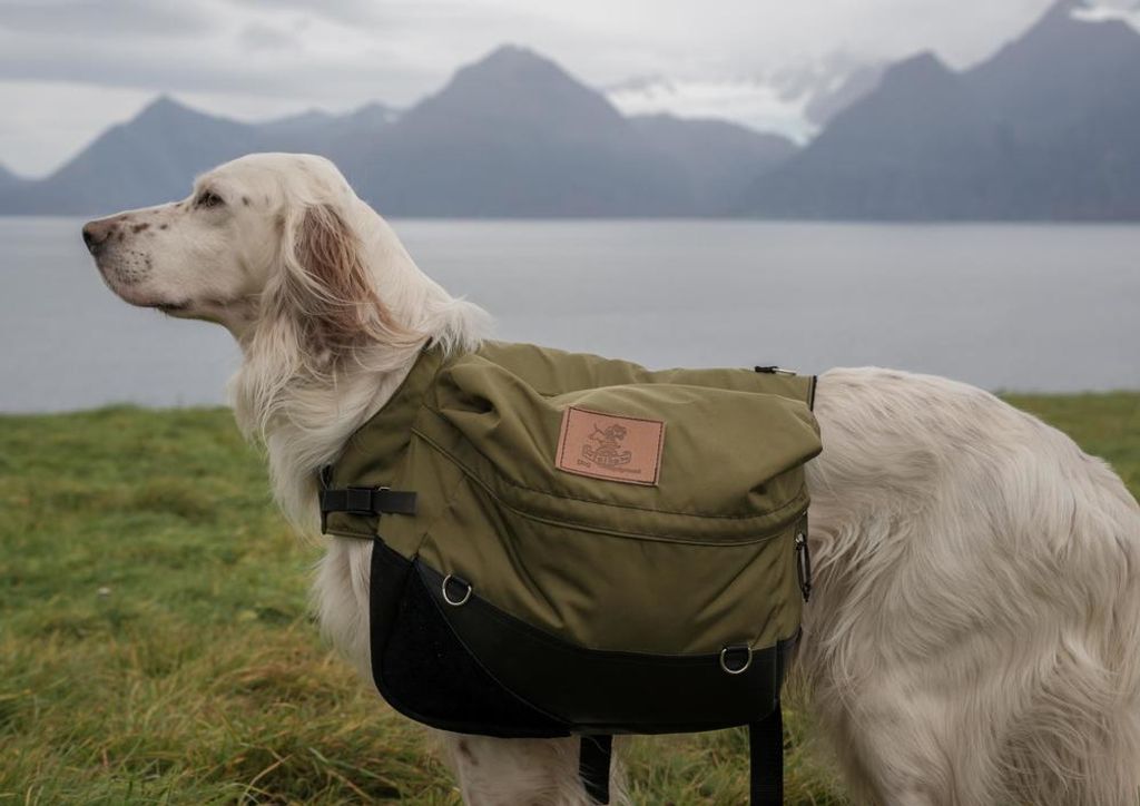 hansepuzzle 30860 - Hund auf Wanderung Puzzle, 260 Teile, Tierwelt, 41,0 x 28,0cm mit hochwertiger Aufbewahrung, Kartonbox & Beutel