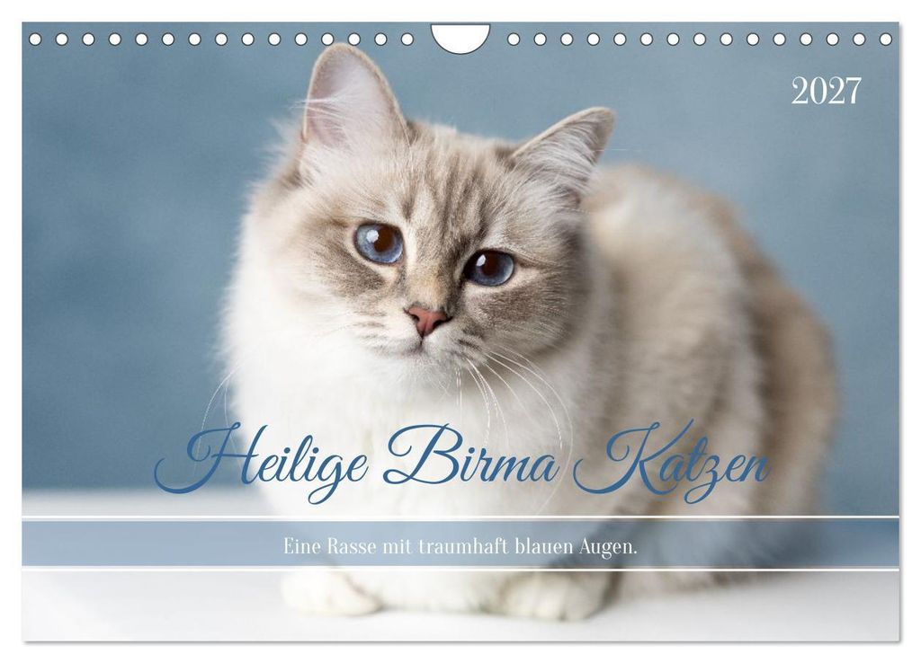 Heilige Birma Katzen - flauschig, anhänglich und wunderschön (Wandkalender 2027 DIN A4 quer), CALVENDO Monatskalender