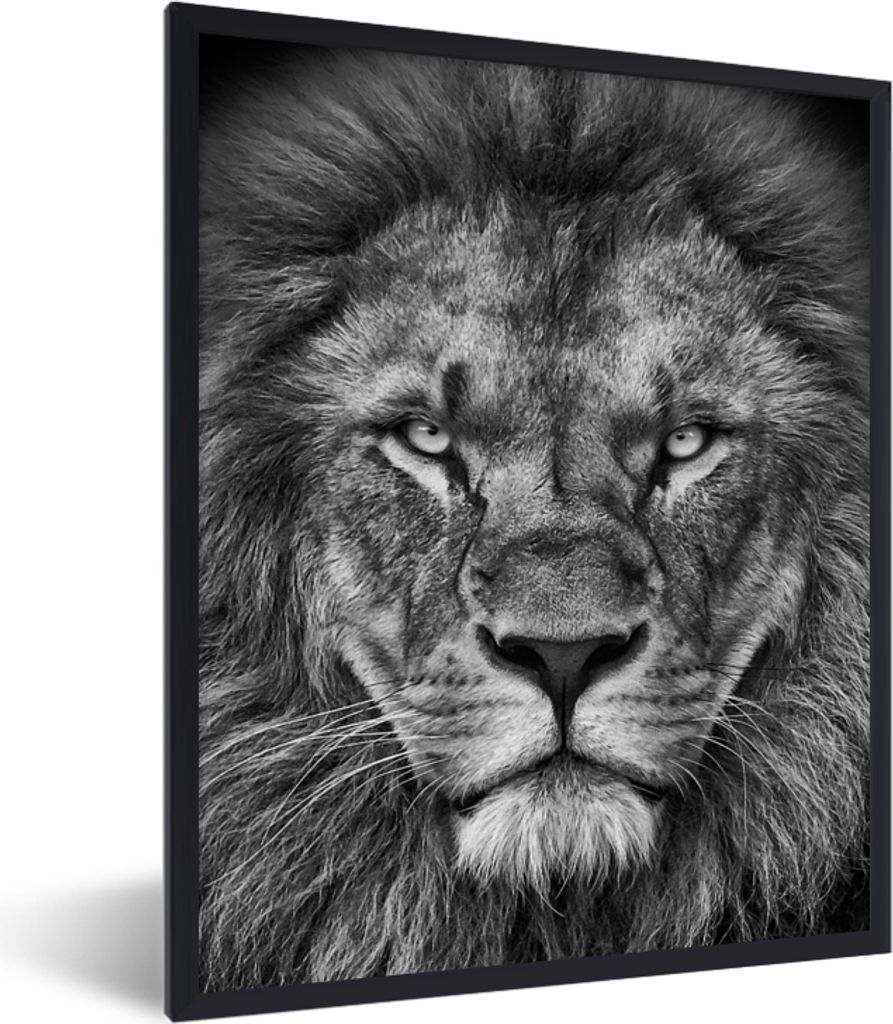 MuchoWow® Gerahmtes Poster Tiere - Löwe - Schwarz - Weiß - Produktbild 