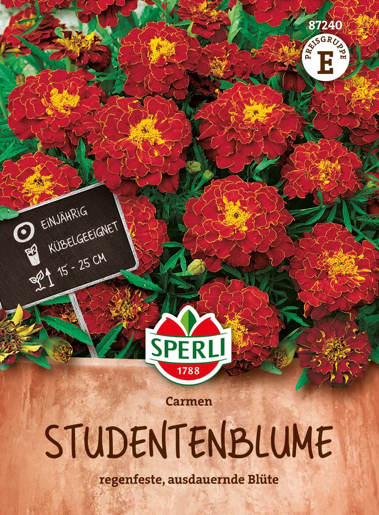 SPERLI Studentenblumensamen Carmen Tagetes patula 45 Produktbild 