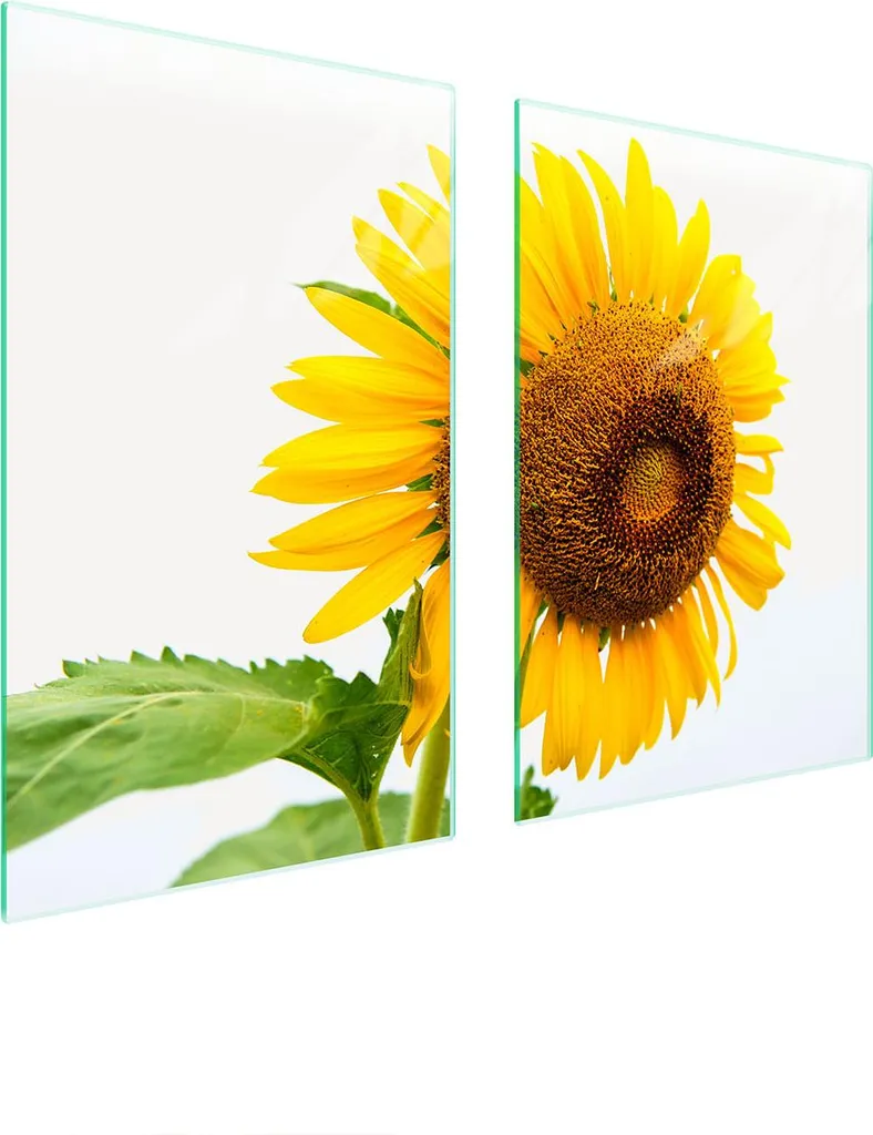 Piatto Di Protezione In Vetro Per La Cucina 65X52 Blume