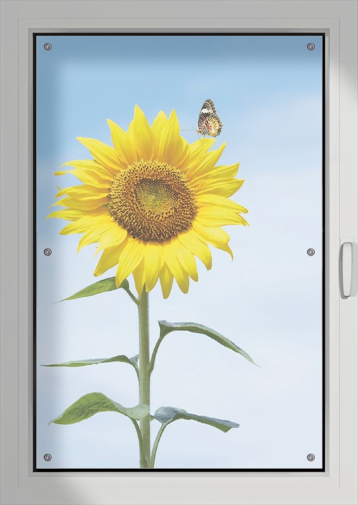 Wallario Lichtschutzbild, Dekorativer Sichtschutz Sonnenschutz 76 x 115 cm mit Motiv: Sonnenblume mit Schmetterling - Verdunklung ohne Bohren