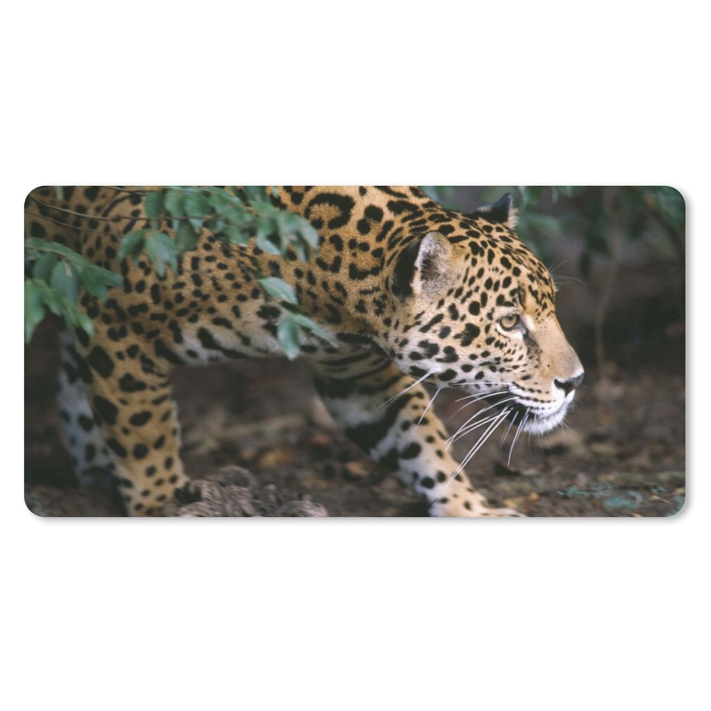 MuchoWow Mauspad Mousepad Schleichender Jaguar im Wald 60x30 cm - Mousepads - Maus Mat - Pad - Mausunterlage - Nachhaltig