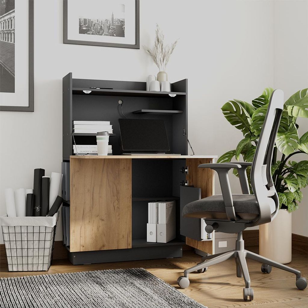A modern home office setup with a desk, chair, and plant.