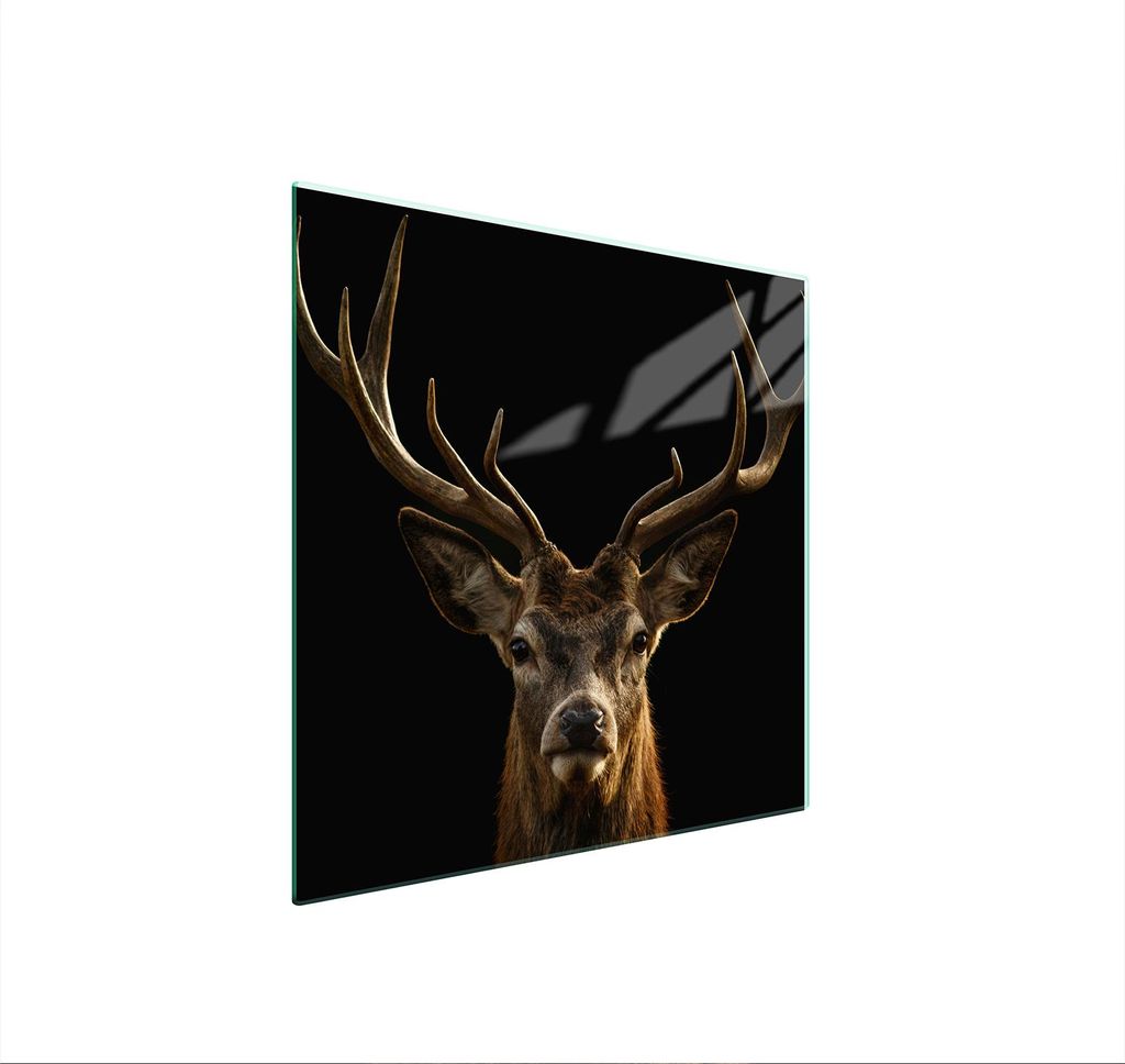 Glasschutzplatte Für Herd 50X52 Hirsch