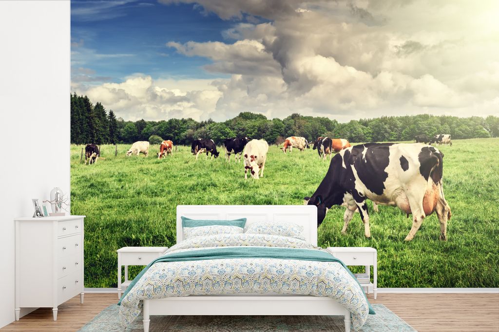 MuchoWow Fototapete für Wohnzimmer oder Schlafzimmer Wandtapete Vinyl Motivtapete Kühe - Weide - Natur - Tiere - Landschaft - 450x300 cm - Gemu...