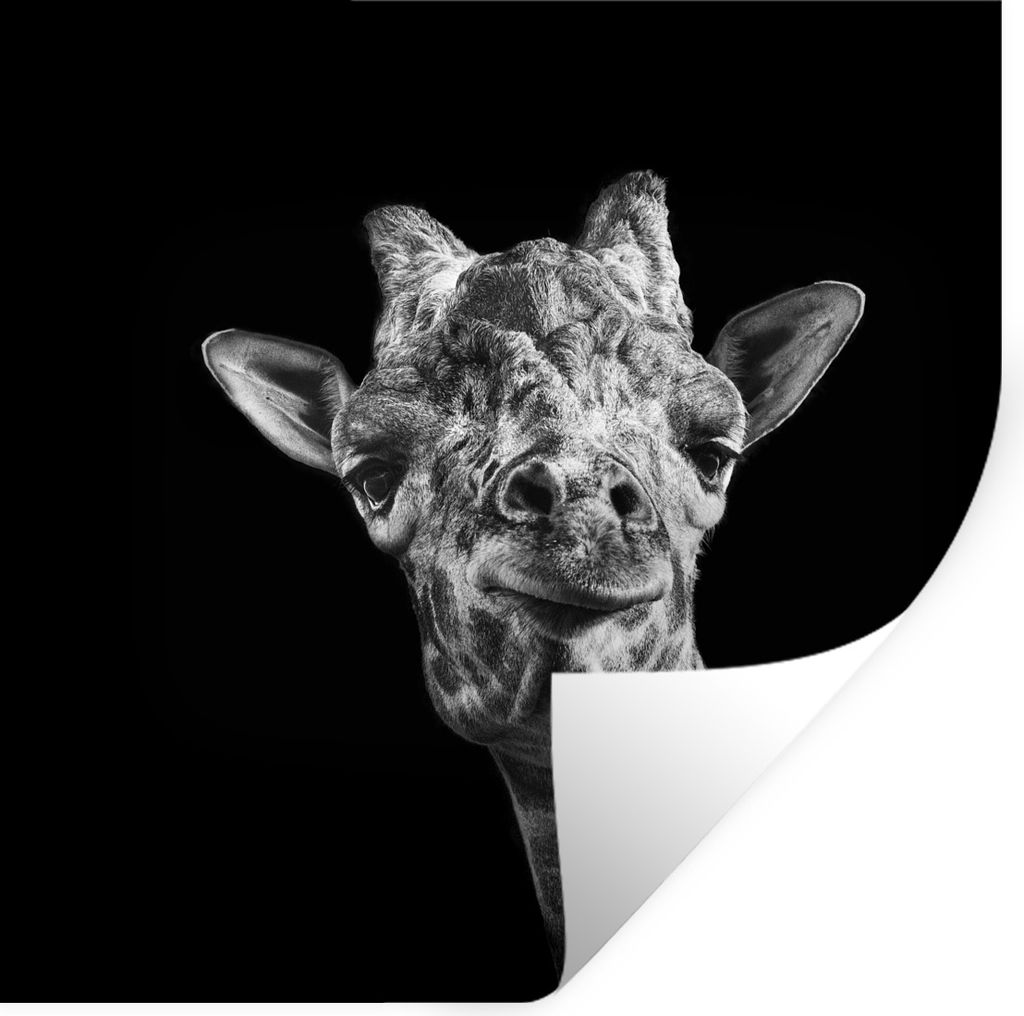MuchoWow Wandtattoo Wandsticker Wandaufkleber Giraffe vor schwarzem Hintergrund in schwarz und weiß 50x50 cm Selbstklebend und Repositionierbar ...
