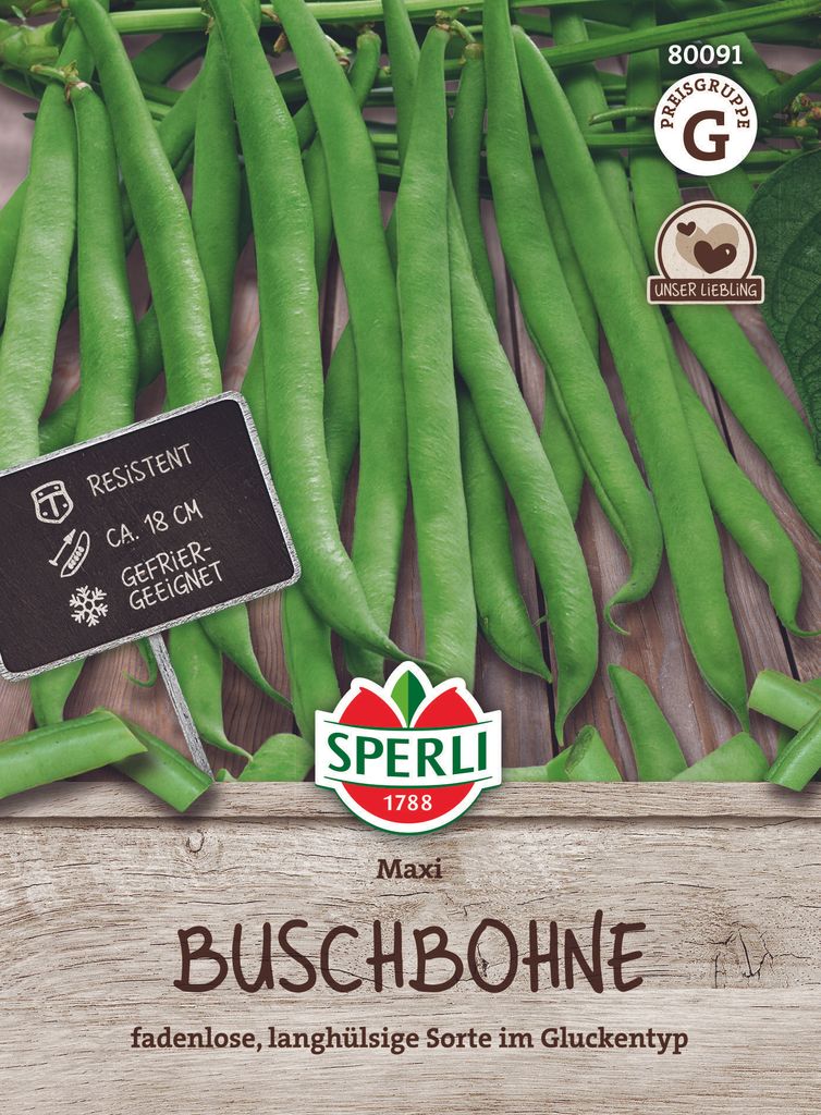 Buschbohne ''Maxi'' fadenlos, langhülsig, leicht zu ernten Produktbild 