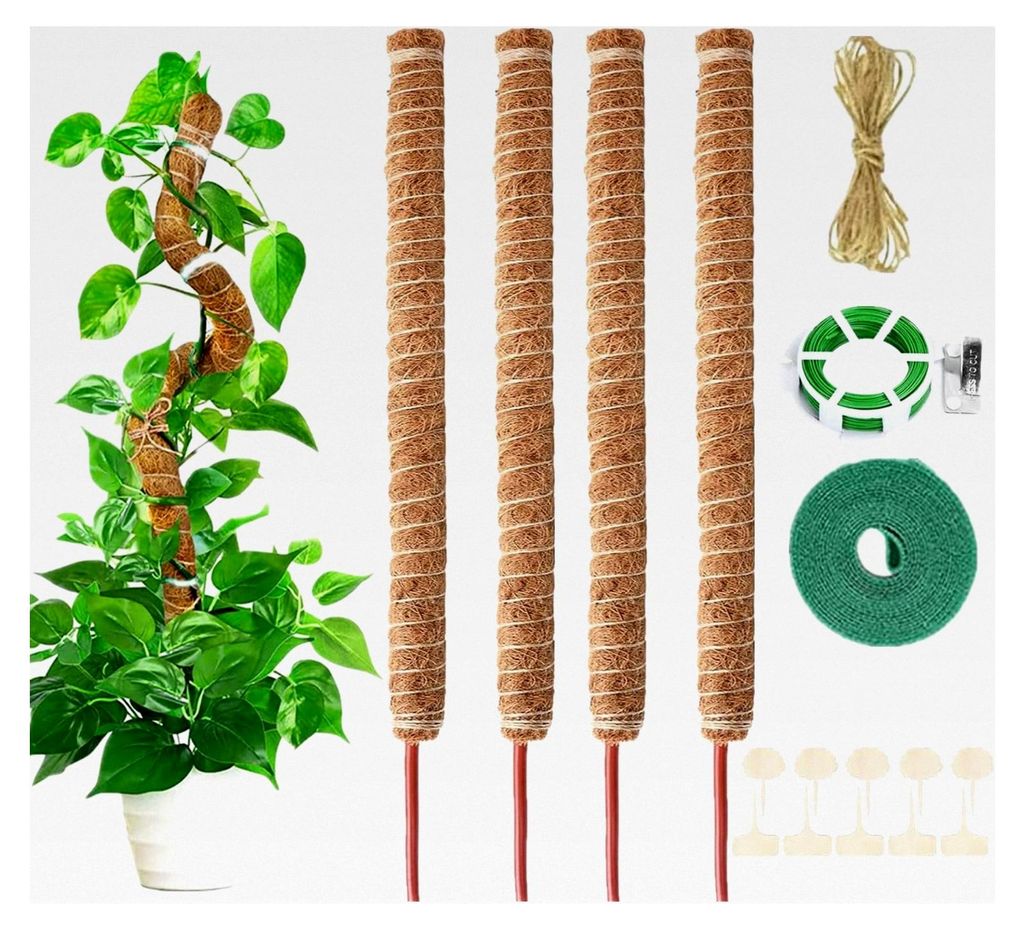 4er Set 70 cm Moosstäbe für Kletterpflanzen