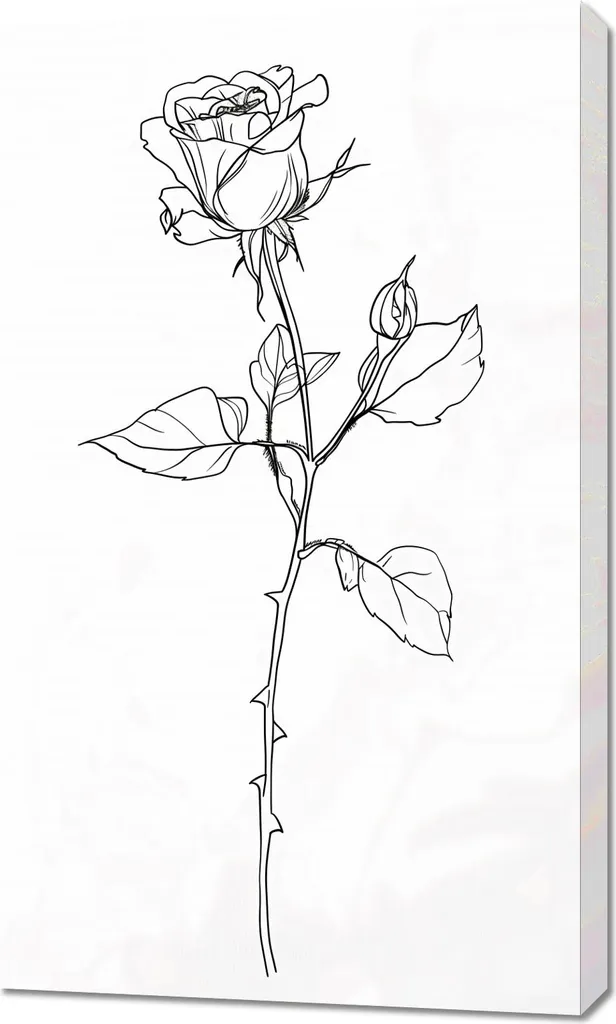 Image 60 x 100 cm Contour Rose - Cadre Mural Déco pour Intérieur Moderne