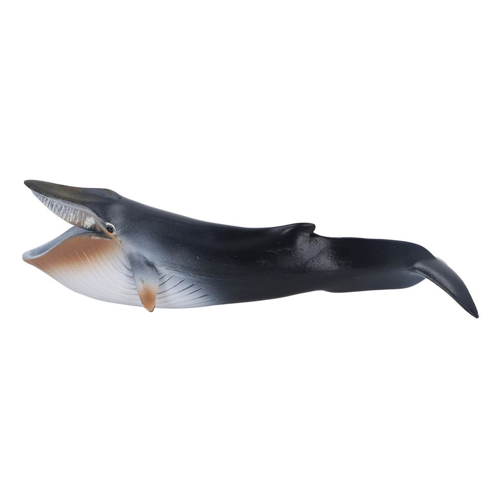 Blauer Wal Figur,Meerestier Figur,Blauer Wal Spielzeug,Meerestier Figur Spielzeug,Meerestier Figur Spielzeug,Ozean Tier Figurine