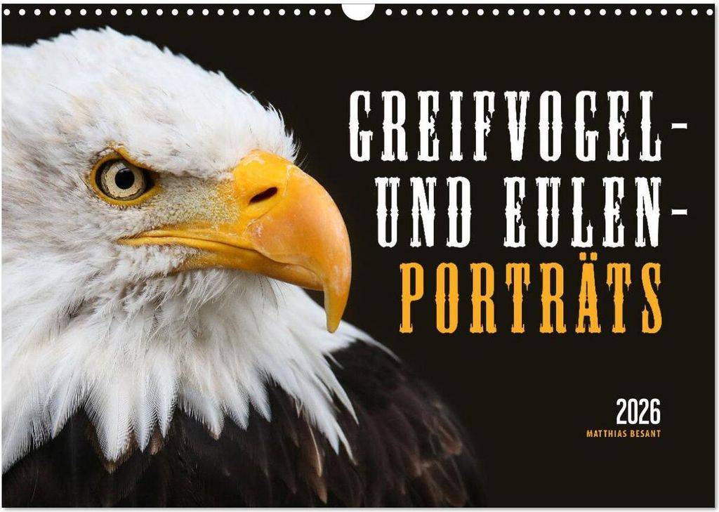 GREIFVOGEL- UND EULENPORTRÄTS (Wandkalender 2026 DIN A3 quer), CALVENDO Monatskalender
