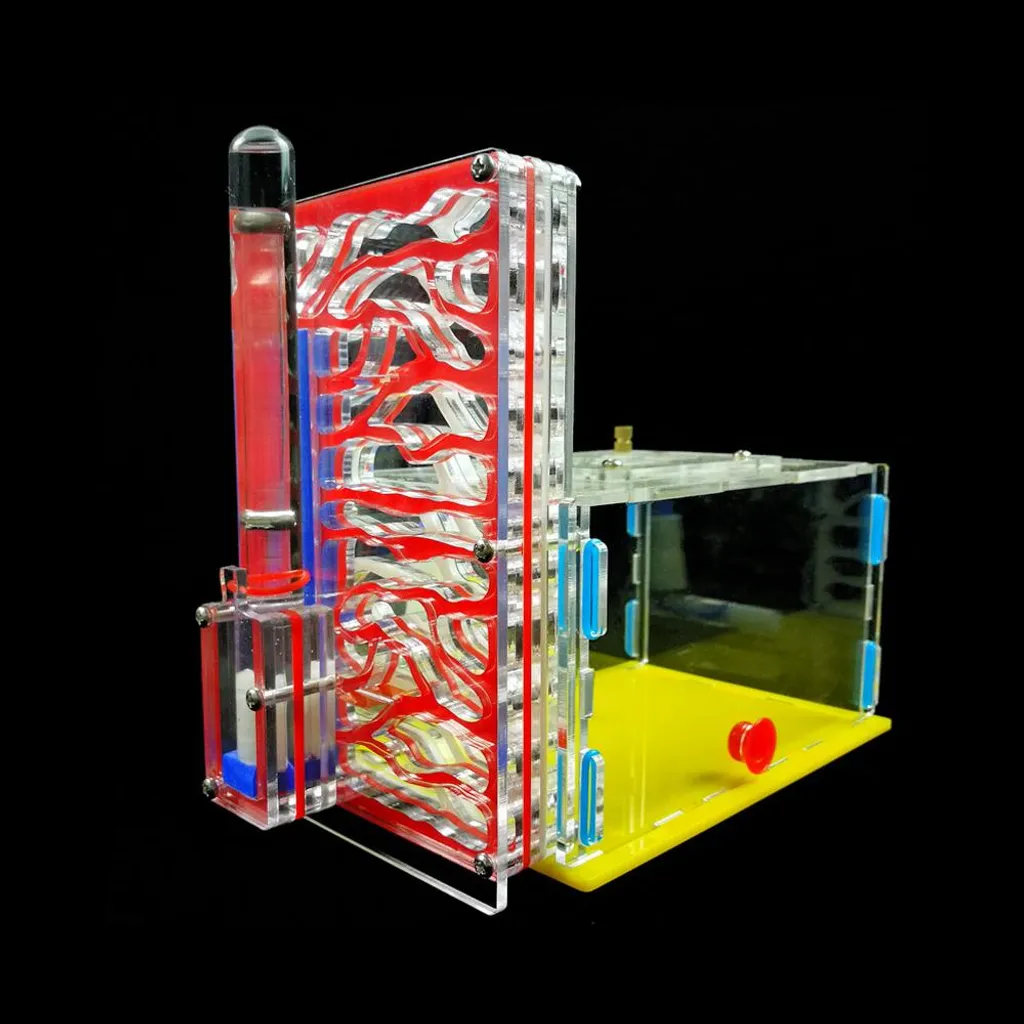 Fourmilière Anti-Évasion en Acrylique - Kit d'Observation Sécurisé