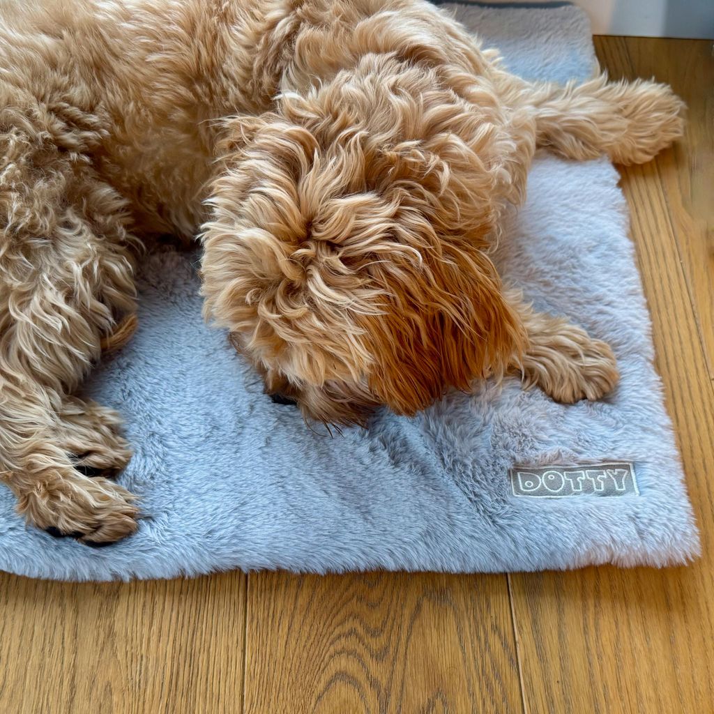 Fellmatte für Hunde, waschbar & rutschfest – Hundematte für Auto, Hundebox, Sofa – Reisebett für kleine & große Hunde - Graues weiches Fell...