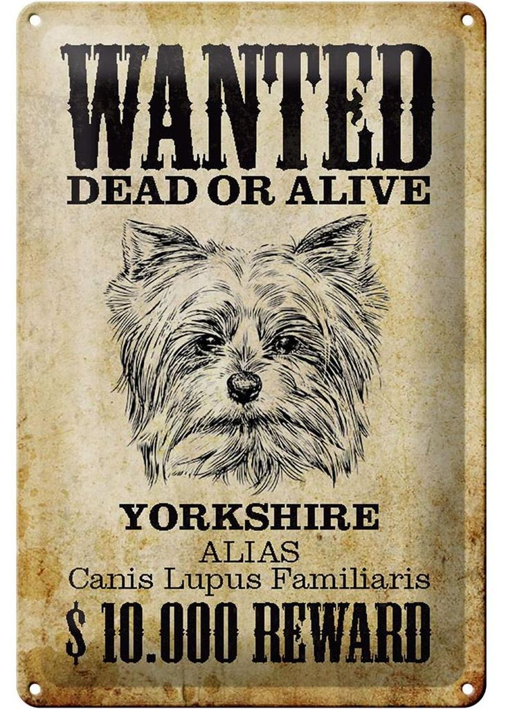 Blechschild Hund 20x30cm wanted dead Yorkshire Schild
