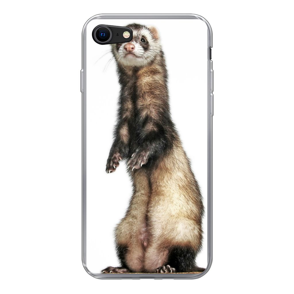 MuchoWow Handyhülle Schutzhülle Hülle für iPhone SE 2020 Frettchen - Tiere - Fell Silikon Softcase Handy Hülle - Kartenbesitzer