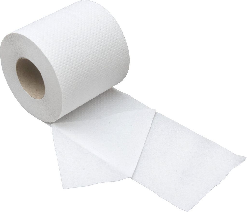 CleanSV Toilettenpapier 2 lagig, 192 Rollen x 250 Blatt, recycling