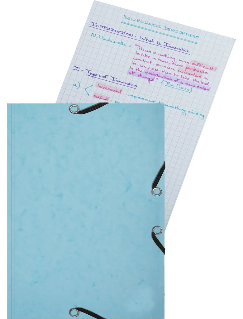 Intercalaires A5 Quadrillés Exacompta 25 Touches pour Classeur de Fiches