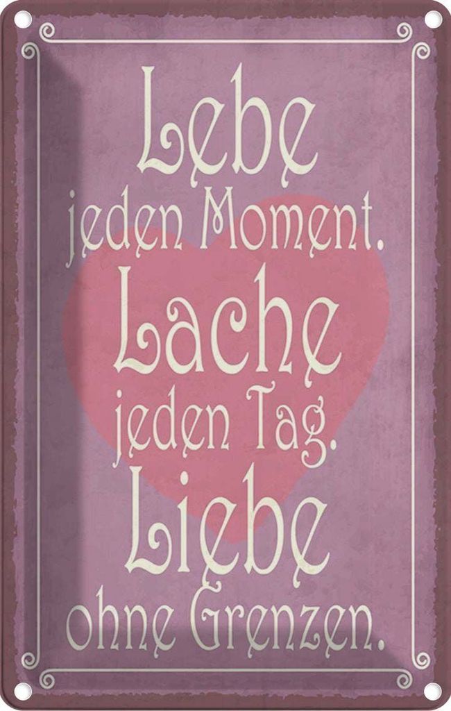 vianmo Blechschild 30x20 cm Lebe jeden Moment Lache Liebe Dekoration