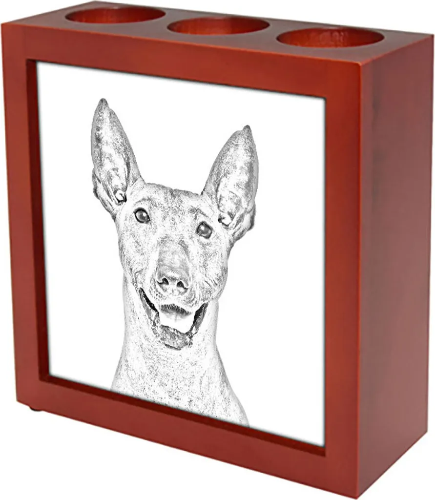 Organizer Scrivania Art-Dog Xoloitzcuintle - Portapenne Professionale