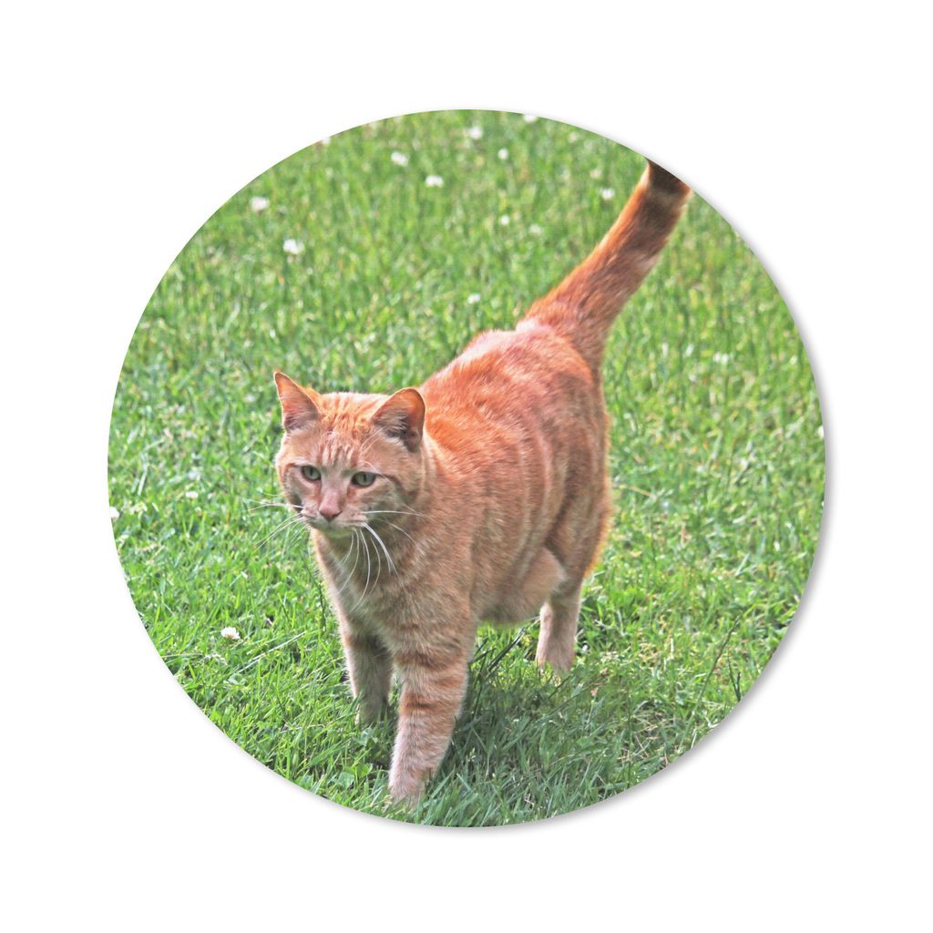 MuchoWow Mauspad Mousepad Katze - Rot - Katze - Mädchen - Kinder - Jungen - Kind 30x30 cm - Mousepads - Maus Mat - Pad - Mausunterlage - Tischun...