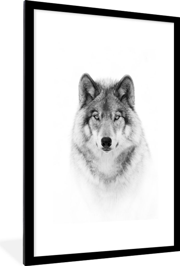 MuchoWow Gerahmtes Poster Wolf - Tiere - Porträt - Weiß 60x90 cm - Poster mit Schwarzem Bilderrahmen Wandposter Rahmen Foto Bilder - Dekoration...