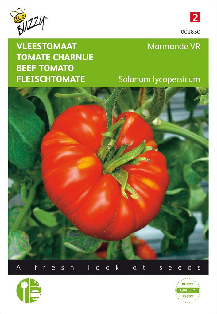 Fleischtomate Marmande VR | Fleischtomatensamen von Buzzy Seeds