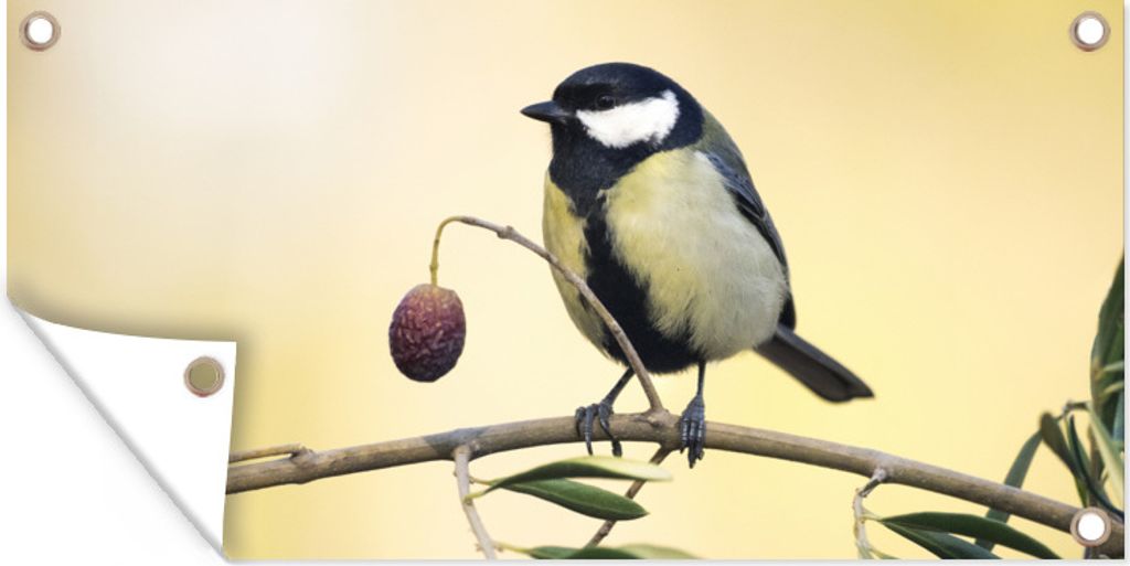 MuchoWow 160x80 cm Outdoor-Poster Gartendeko Sichtschutz Garten Poster für den Garten Vogel auf einem Zweig mit einer Beere