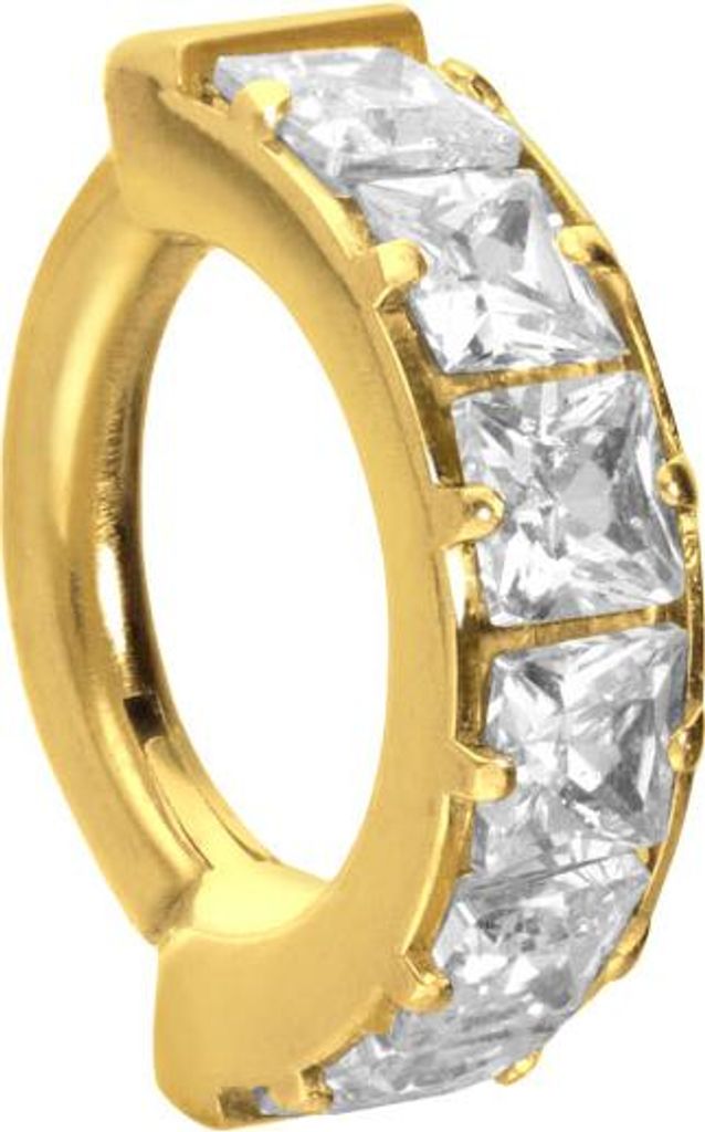 Ohrpiercing, Nasenpiercing, Septum Piercing Titan Segmentring Clicker EINGEFASSTE KRISTALLE Gold Innendurchmesser: 6 mm
