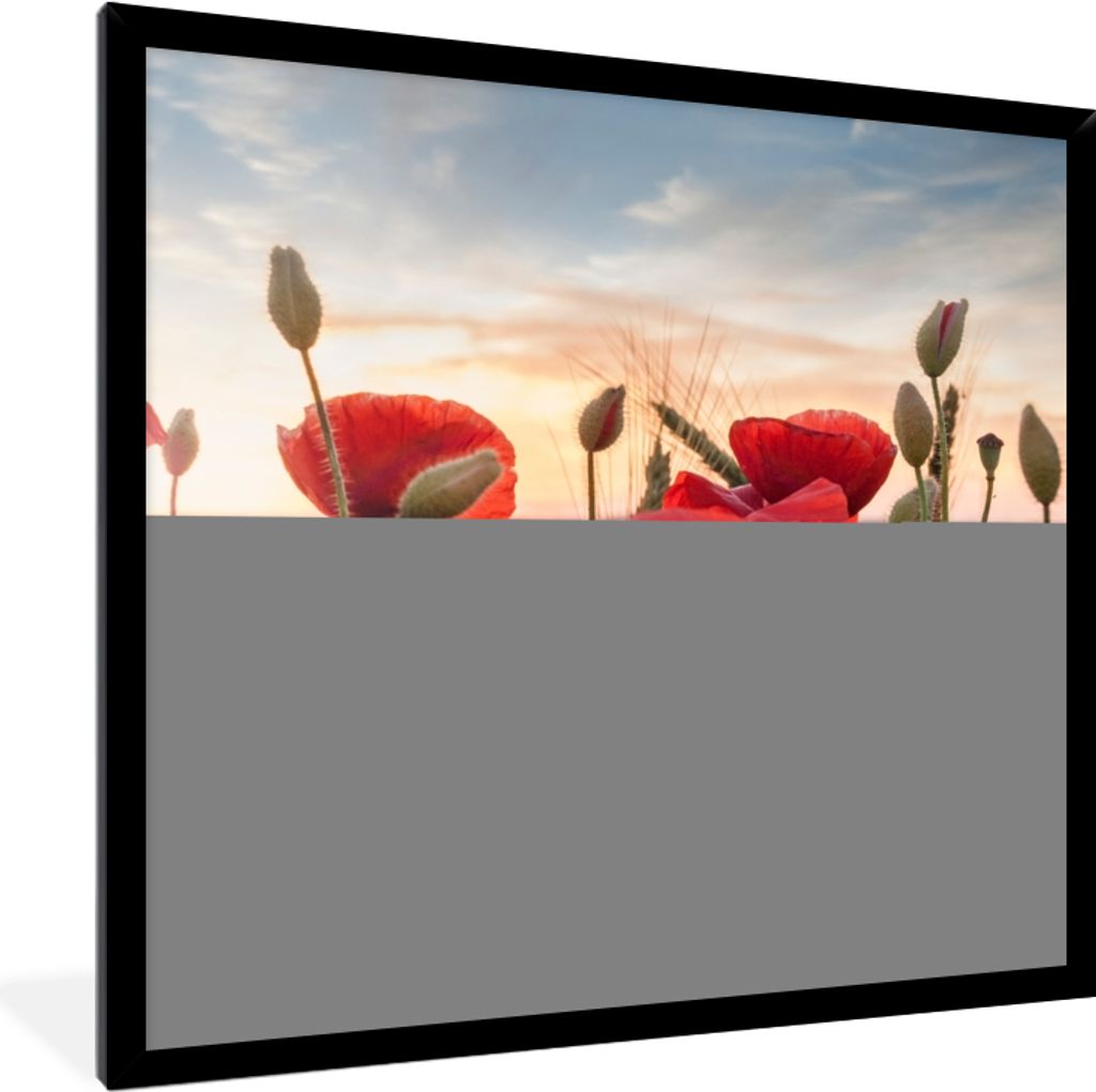 MuchoWow Gerahmtes Poster Sonnenuntergang hinter den schönen Mohnblumen 40x40 cm - Poster mit Schwarzem Bilderrahmen Wandposter Rahmen Foto Bild...