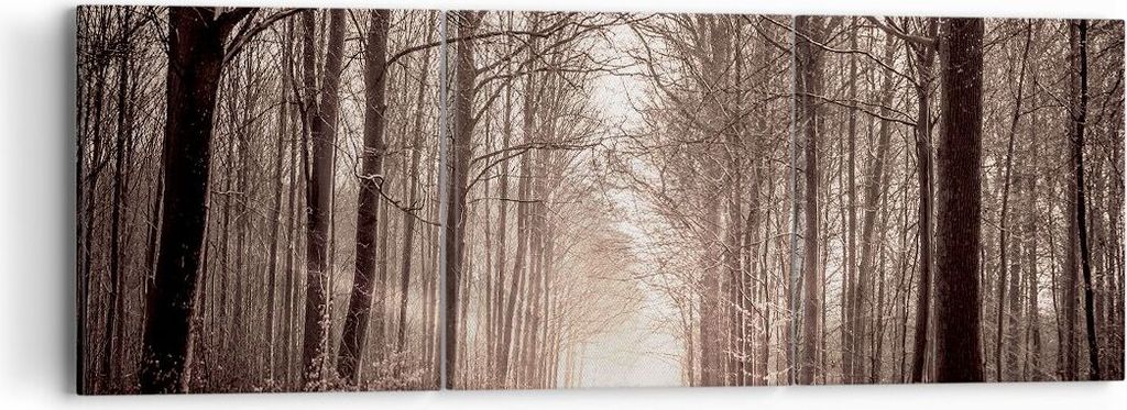 Bild auf Leinwand - Leinwandbild - Wald Straße Baum - 90x30cm - Wand Bild - Wanddeko - Wandbilder - Leinwanddruck - Bilder - Kunstdruck - Wanddeko...