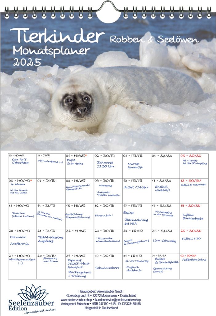 Tierkinder Robben und Seelöwen Planer DIN A4 Kalender für 2025 Tierbabys und Tierkinder - Seelenzauber
