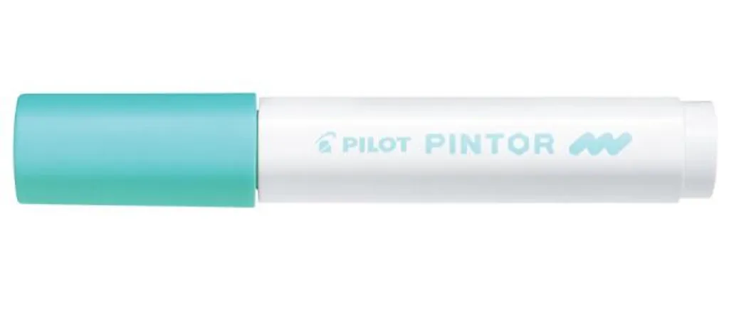 PILOT 542046 PINTOR Marqueur Peinture à Base d'Eau Pointe Moyenne Vert Pastel