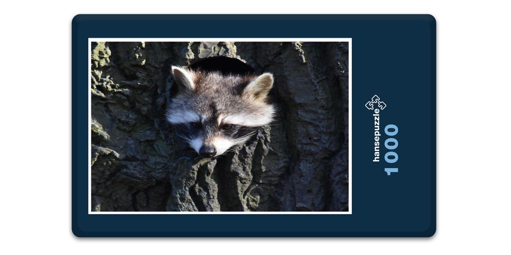 hansepuzzle 12256 - Waschbär im Baum Puzzle, 1000 Teile, Tierwelt, 60,0 x 46,0cm mit hochwertiger Aufbewahrung, Kartonbox & Beutel