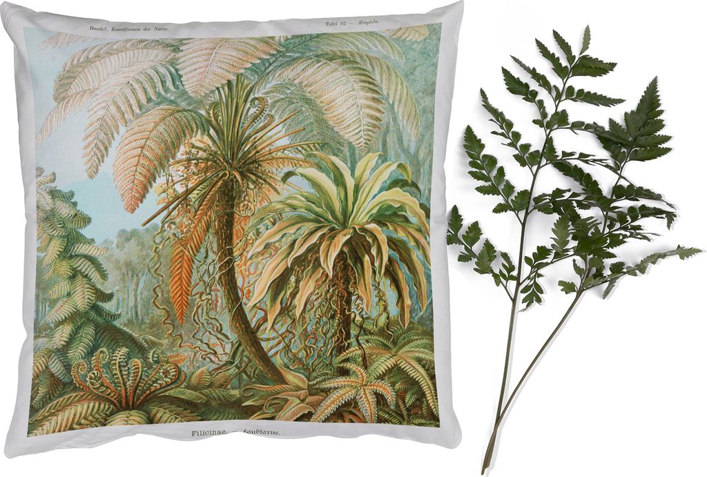 MuchoWow Zierkissen Sofakissen Wohnzimmer Dekokissen 40x40 cm Vintage - Alte Meister - Farne - Pflanzen - Natur - Foto Kissen - Schlafzimmer Deko...
