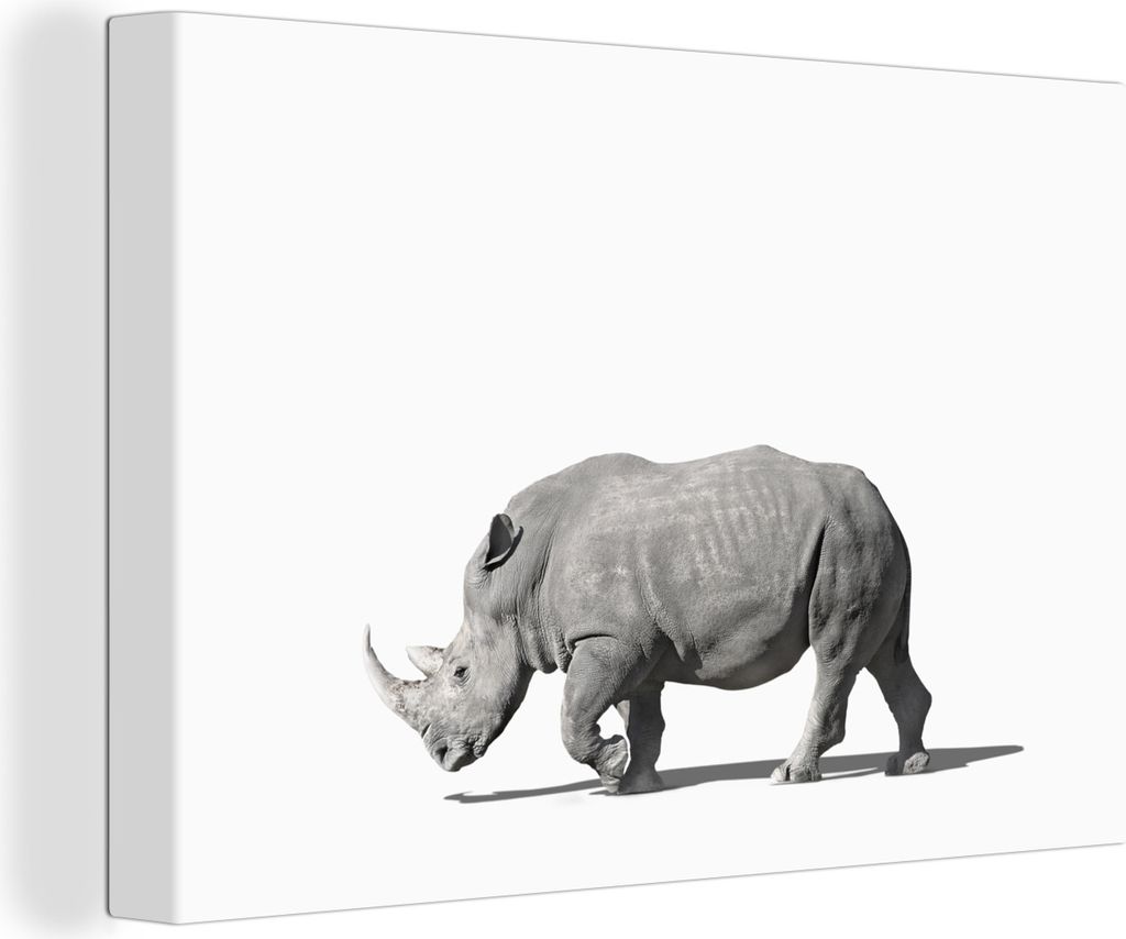 OneMillionCanvasses - Leinwandbilder - 140x90 cm, Rhinozeros - Tiere - Weiß, Wandbilder Kunstdruck Wanddekoration
