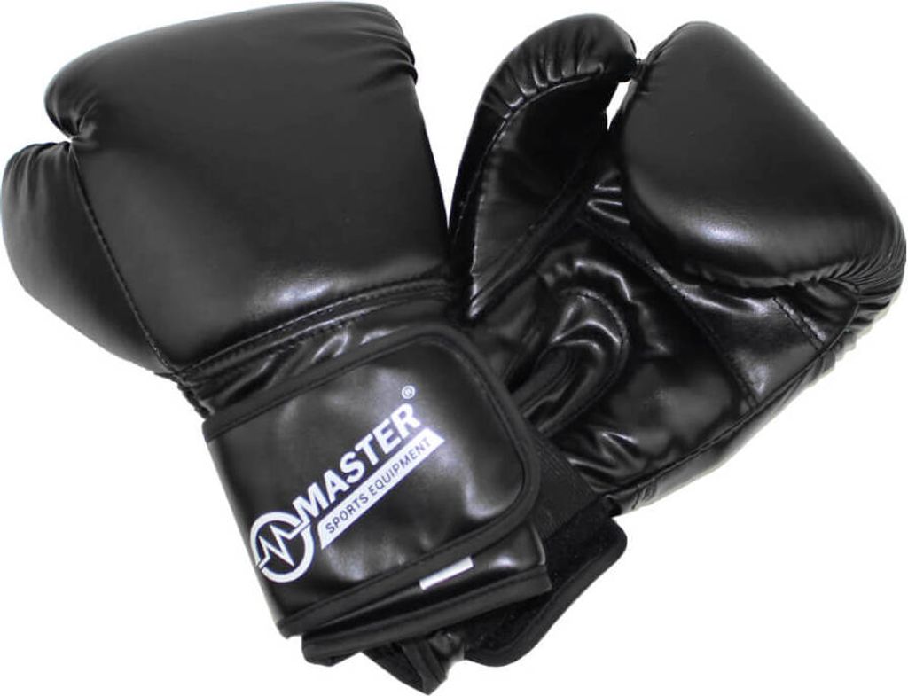 Gants de boxe MASTER TG10 Image du produit 