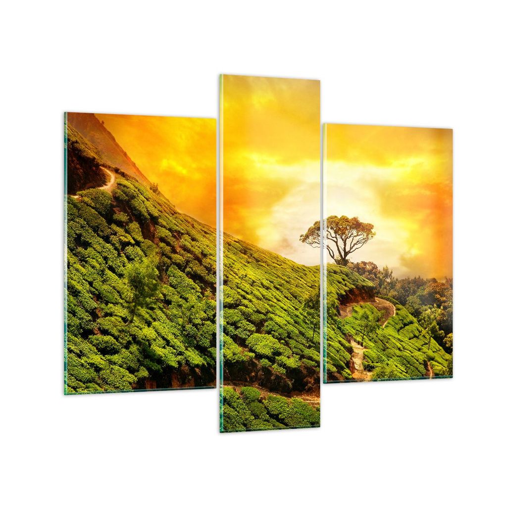 Bilder auf glas - Berg Baum Pfad Hügel - 95x80cm - Glasbilder - Wandbilder - Kunstdruck - zum Aufhängen bereit - Wanddekoration aus Glas - Glas B...