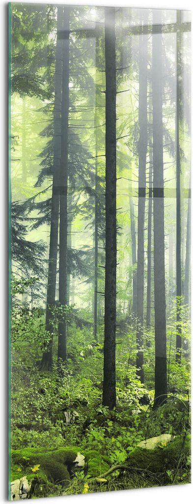 Designer Glasbild - Wandbild - Glas Bild - 50x125 cm - Landschaft Aus Bäumen Und Waldvegetation