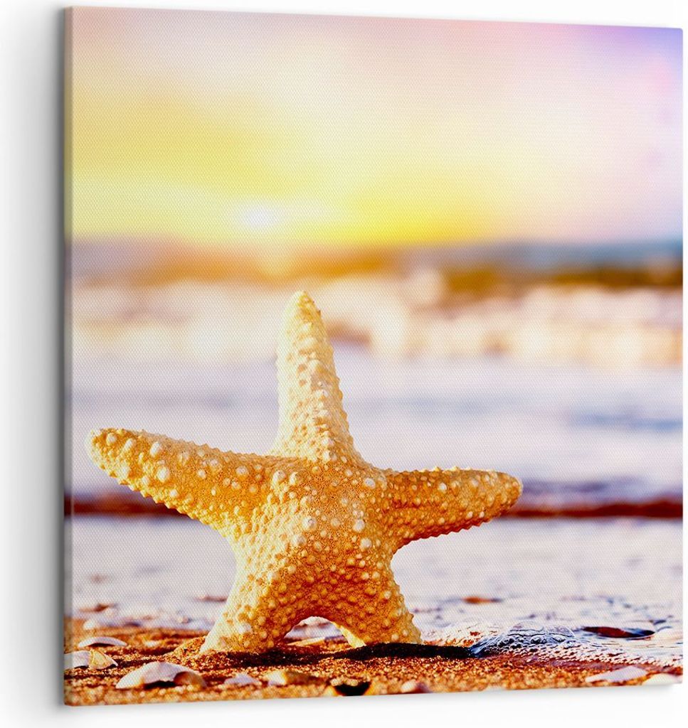 Bild auf Leinwand - Leinwandbild - Starfish Strand Sand Ozean - 50x50cm - Wand Bild - Wanddeko - Leinwanddruck - Bilder - Kunstdruck - Wanddekorati...