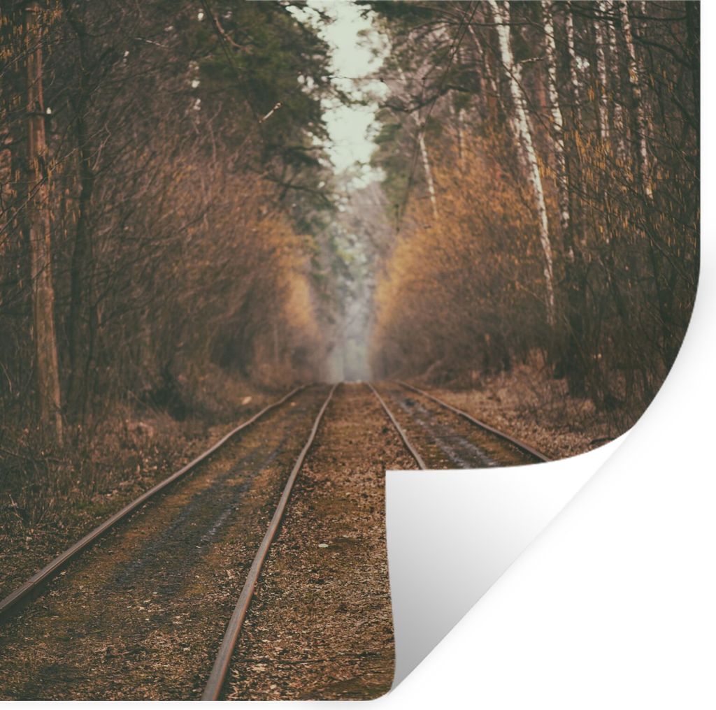 MuchoWow Wandtattoo Wandsticker Wandaufkleber Bahnstrecke - Weg - Wald - Baum 80x80 cm Selbstklebend und Repositionierbar - Wierderverwendbar - S...