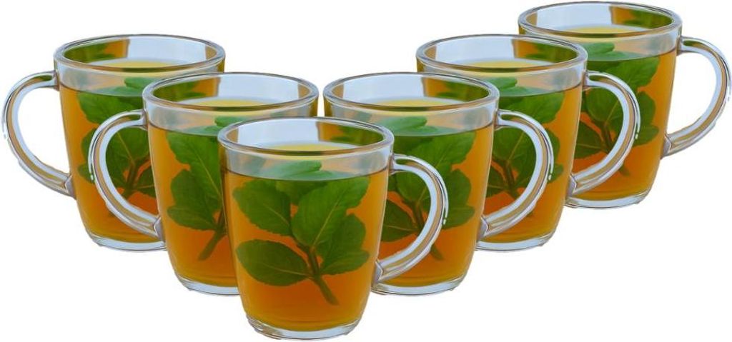 OTIX Kunststoff-Teebecher mit Henkel 6 Stück Kaffeetassen Teeglas Campinggeschirr 380ML OCEANI