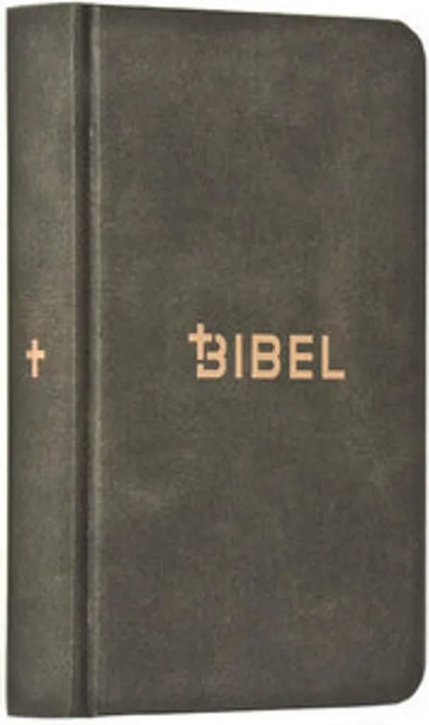 Bible Schlachter 2000 Mini-Édition en Aspect Cuir Antique Illustré