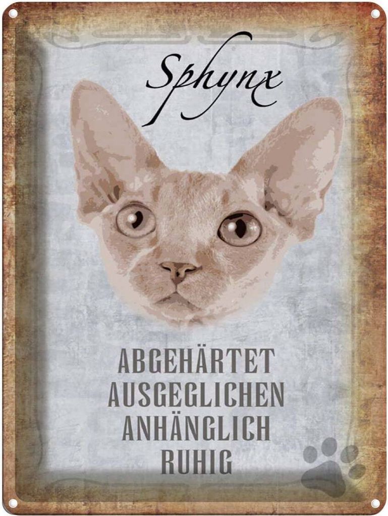 vianmo Blechschild 40x30 cm Sphynx Katze