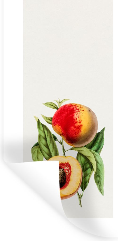 MuchoWow Wandtattoo Wandsticker Wandaufkleber Pfirsich - Obst - Lebensmittel 40x80 cm Selbstklebend und Repositionierbar - Repositionierbar - Was...