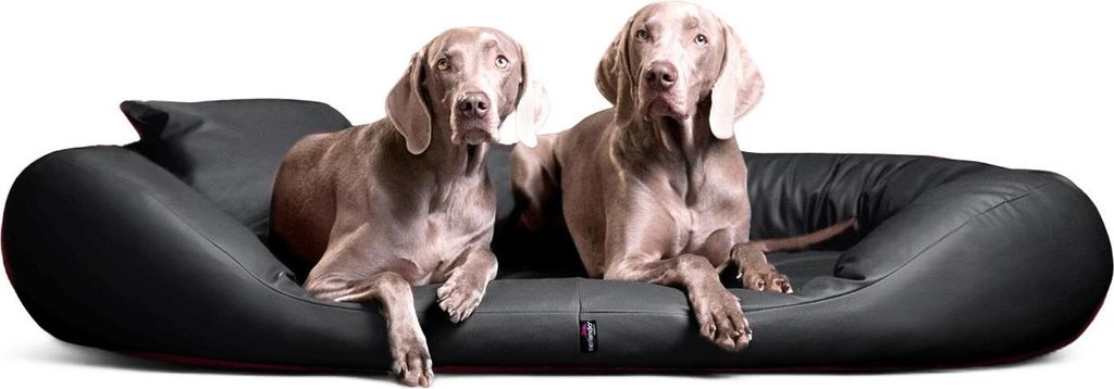 tierlando Orthopädisches Hundebett SAMMY | Pflegeleichtes Kunstleder | L-XXXXL - Größe: 170x110cm | Farbe: 02 Graphit