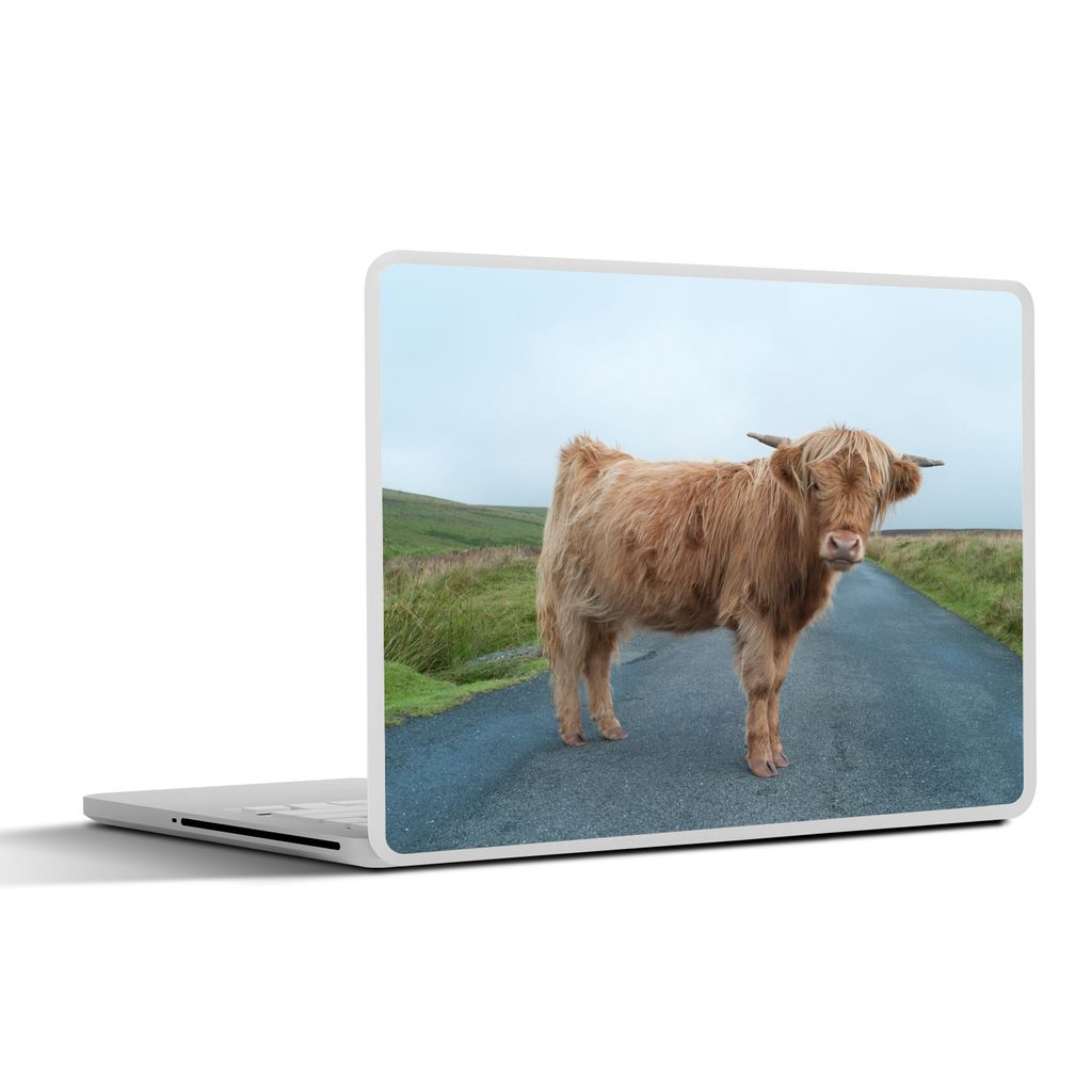 MuchoWow Laptop Aufkleber Sticker Cover Scottish Highlander - Straße - Gras 32.5x23.5 cm - Sticker für Laptop - Selbstklebend